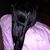 Katresa Morris's profile image