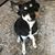 Hellen L Bayer's profile image