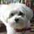 Kristl Laux's profile image