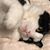 Sandra Webb's profile image