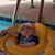 Barbara Reeves Bibbee's profile image