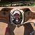 Shane Huntsman's profile image
