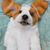 Erikapie Kriegsheim's profile image