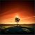 Iris Gonzalez's profile image