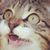 Elyse Scott's profile image