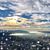 Kim Williams's profile image