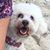 Beverly Keaton's profile image