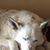 Jim Schneider's profile image