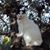 Tres Mignon's profile image