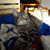 Belem Aguirre's profile image