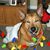 Debbie Terpin's profile image