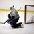 Hunter Grant Petroski's profile image