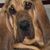 Mary Moore Jackson's profile image