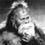 Ron Acklin's profile image