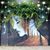 Bonita Sue Lee's profile image