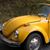 Sue Pearson Gabor's profile image