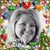 Sandy M. Ingram's profile image