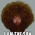 Brian Bersuch's profile image