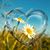 Rebecca Michelbrink Martensen's profile image