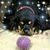 Trude Jacobs Vandine's profile image