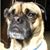 Sunny Kay's profile image