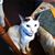 Cathy Ford's profile image