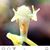 Desiree Weaver's profile image