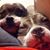 Anjelica Derian's profile image