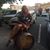 Sherry Kelly's profile image