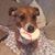 Christine Haskins's profile image