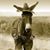 Jim Hileman's profile image