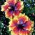 Bev Knight McClellan's profile image
