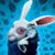 Kathy Getz Siwy's profile image