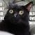 Roberta Wolfe's profile image