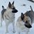 Kim Hoxie-Elko's profile image