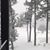 Donna Leeman Grant's profile image