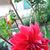 Acosta Cintya Sandra's profile image
