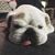 Tricia Barren's profile image