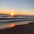 Alison Payette-Lovely's profile image