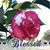 Donna Neill's profile image