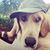 Aaron Flora's profile image