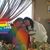 Terri Gonhue's profile image
