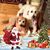 Joann Bounds Miles's profile image