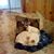 Cindy Kell Croley's profile image