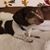 Melissa Miller Larson's profile image