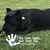 Mary Graham's profile image