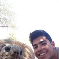 Max Light-Pacheco's profile image