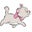 Katie Seghers's profile image