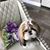 Vickie Grabowski's profile image