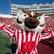 Steve Janson's profile image